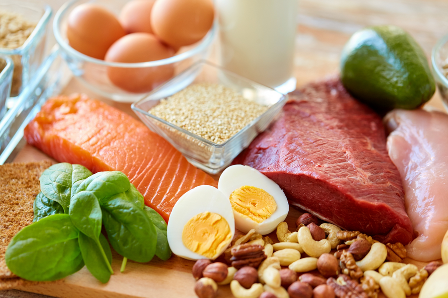 Why Protein Matters: Tips for Every Meal